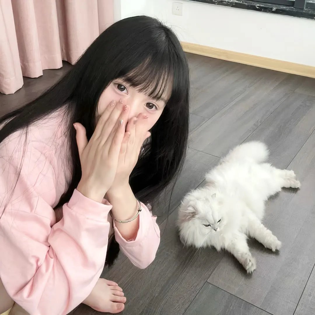 婉君表妹