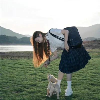 白狼